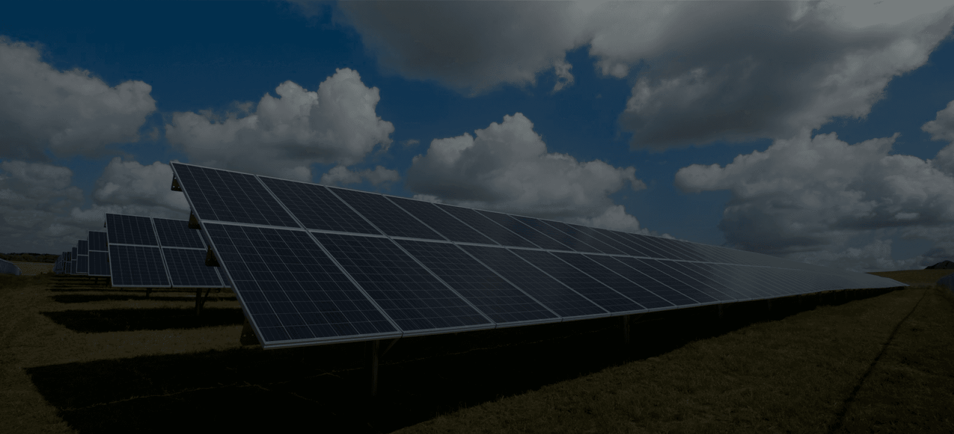 Solar panel farm